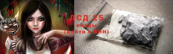 прущие грибы Михайлов