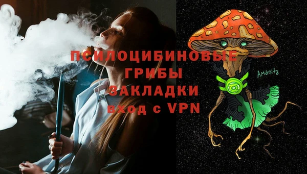 Альфа ПВП Верея