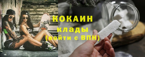 Альфа ПВП Верея