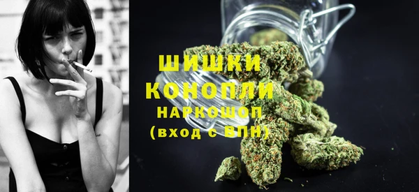 прущие грибы Михайлов