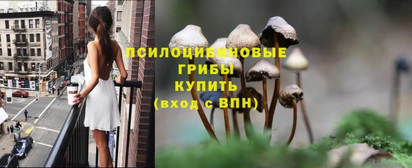 Альфа ПВП Верея
