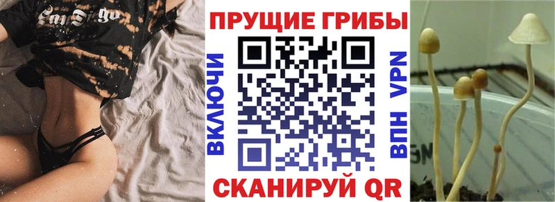 Псилоцибиновые грибы прущие грибы  Галич 